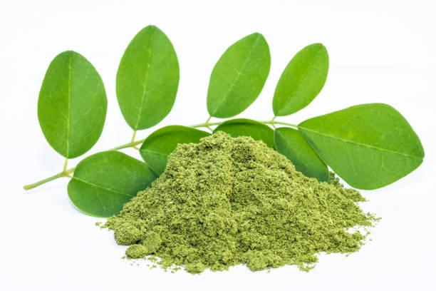 Moringa – Anti-oxidant, supplement with Natural Vitamins & Amino acids.