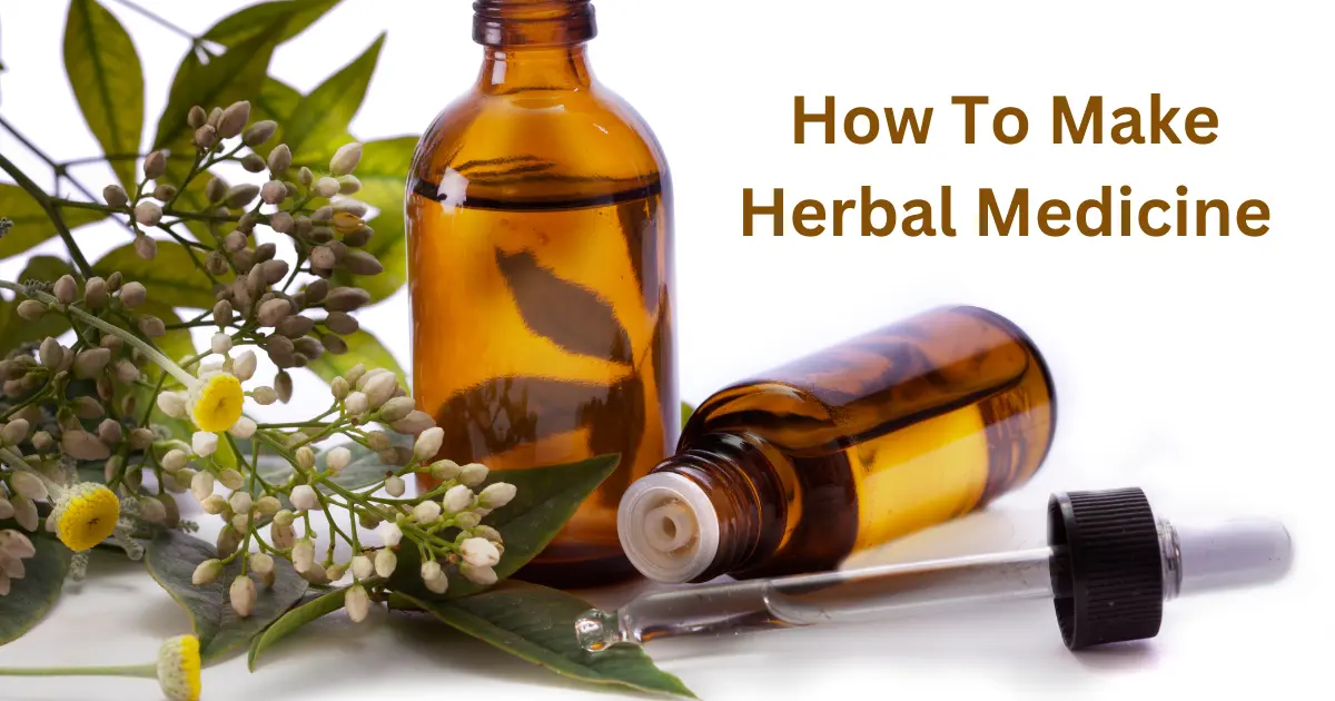 How To Make Herbal Medicine