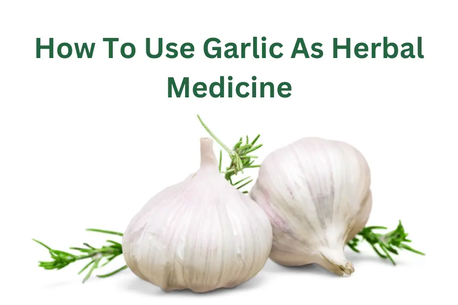 How To Use Garlic As Herbal Medicine